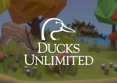 Ducks Unlimited